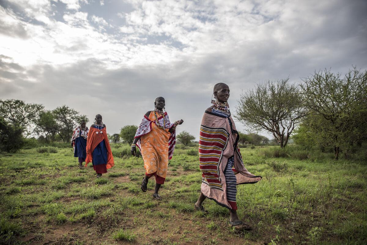 Mara River Crossing — Halaal Programme