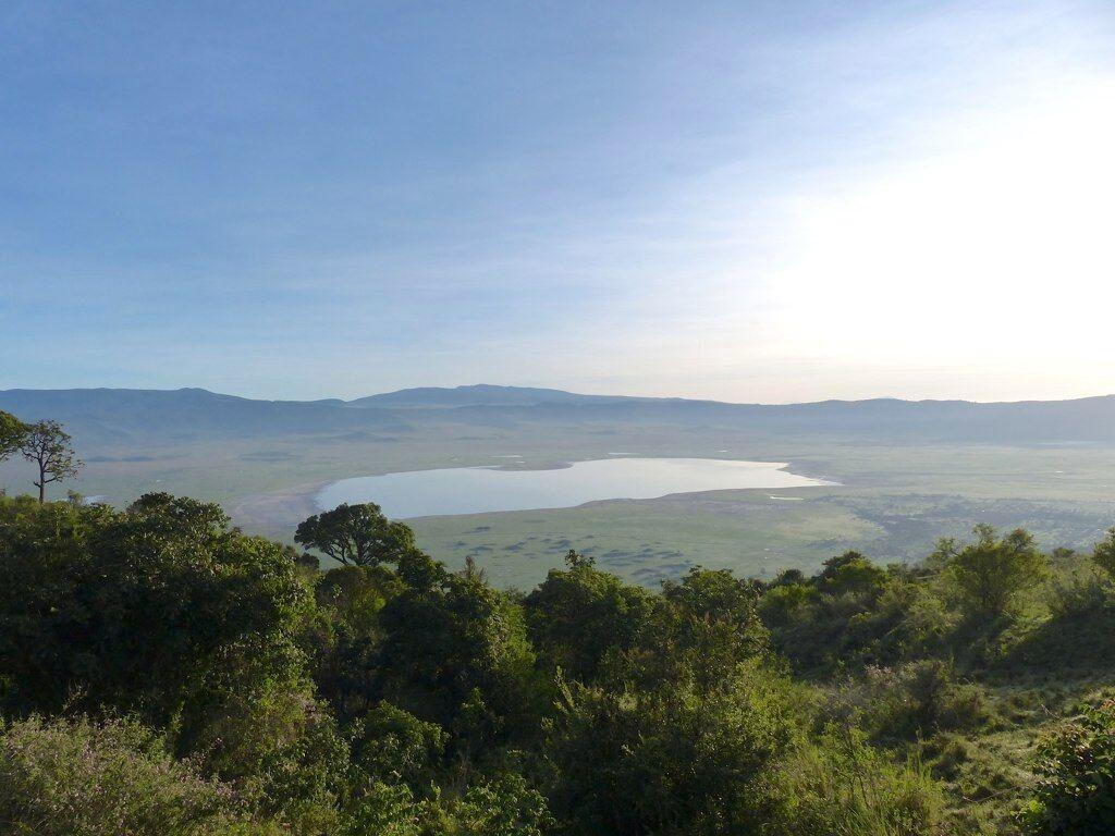 Ngorongoro